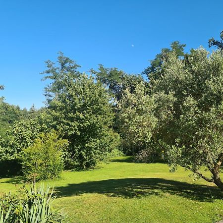 Studio A La Campagne Sans Vis A Vis Boulin Dış mekan fotoğraf